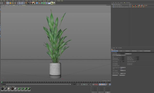 Plants collection 1081