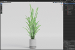 Plants collection 1081