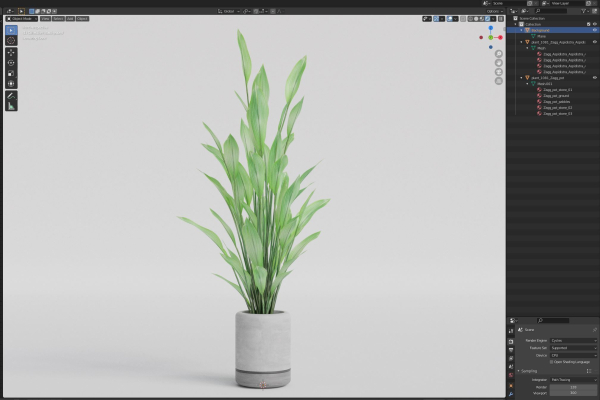 Plants collection 1081
