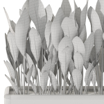 Plants collection 1082