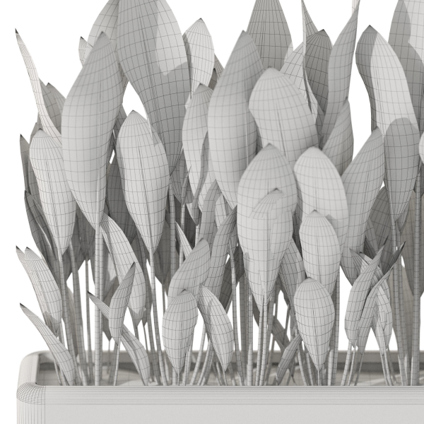 Plants collection 1082