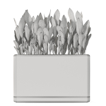 Plants collection 1082