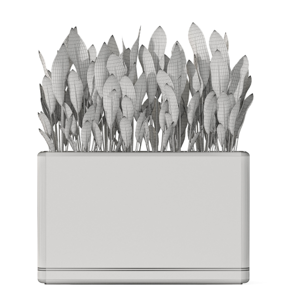 Plants collection 1082
