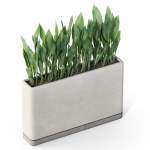 Plants collection 1082