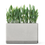 Plants collection 1082