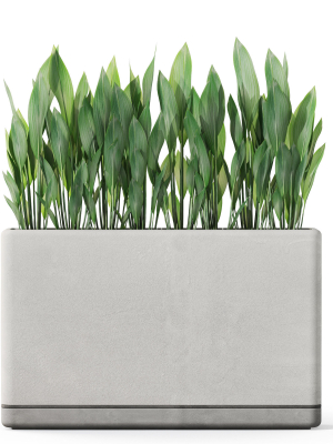 plants-collection-1082-3d-model-aef2178cb6