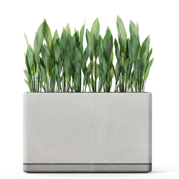 Plants collection 1082