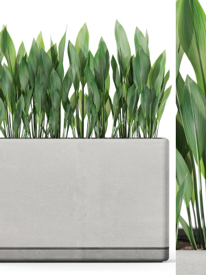 Plants collection 1082