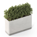 Plants collection 1083