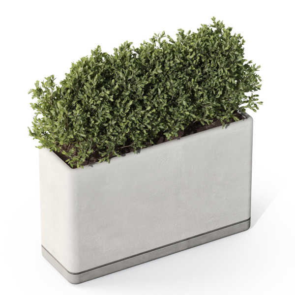 Plants collection 1083