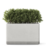 Plants collection 1083
