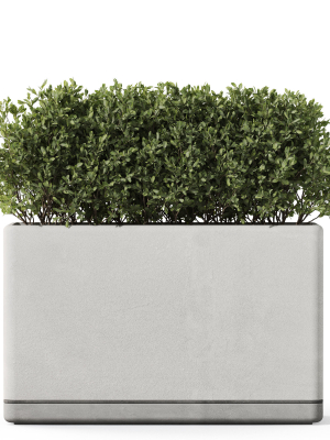 plants-collection-1083-3d-model-6334c85228