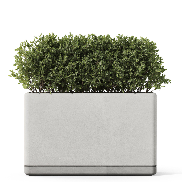 Plants collection 1083