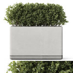 Plants collection 1083