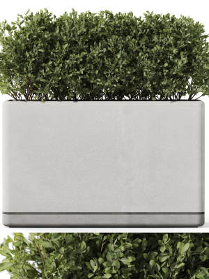 Plants collection 1083