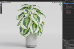 Plants collection 1084