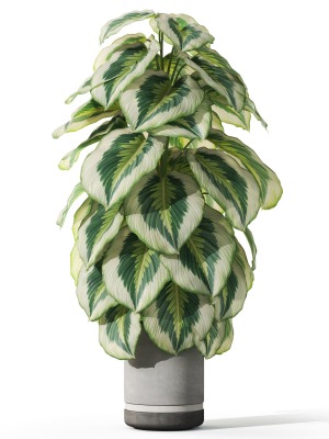 plants-collection-1085-3d-model-2febddc8e1