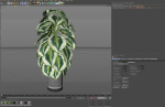 Plants collection 1085