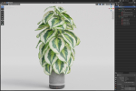 Plants collection 1085
