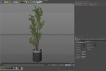 Plants collection 1086