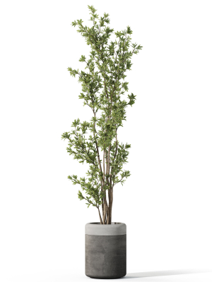 plants-collection-1086-3d-model-42c427ab4b