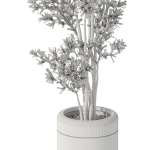 Plants collection 1086