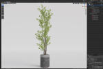 Plants collection 1086