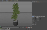 Plants collection 1087
