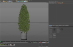 Plants collection 1088