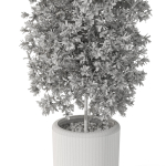 Plants collection 1088