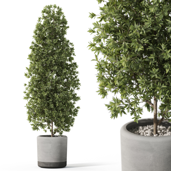 Plants collection 1088