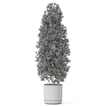 Plants collection 1088