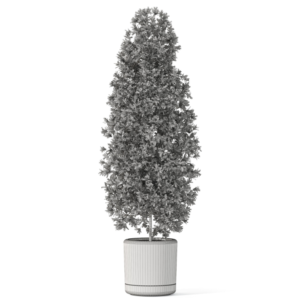Plants collection 1088