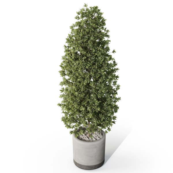 Plants collection 1088