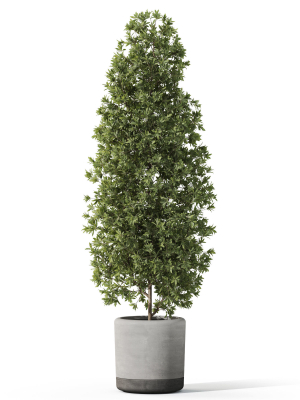 plants-collection-1088-3d-model-c8895d73b7