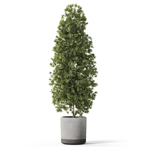 Plants collection 1088