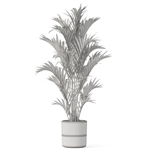 Plants collection 1089