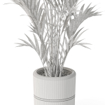 Plants collection 1089