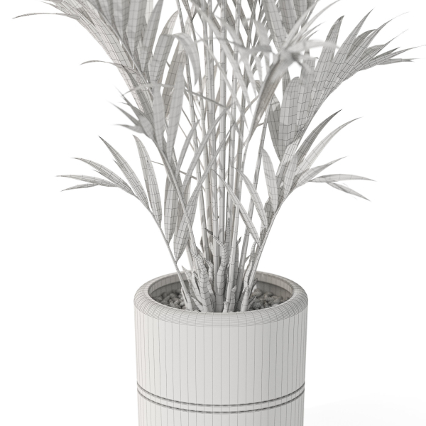Plants collection 1089
