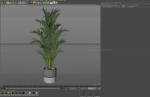 Plants collection 1089