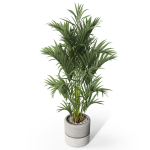 Plants collection 1089