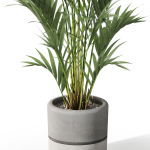 Plants collection 1089