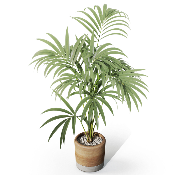 Plants collection 1090