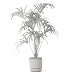 Plants collection 1090