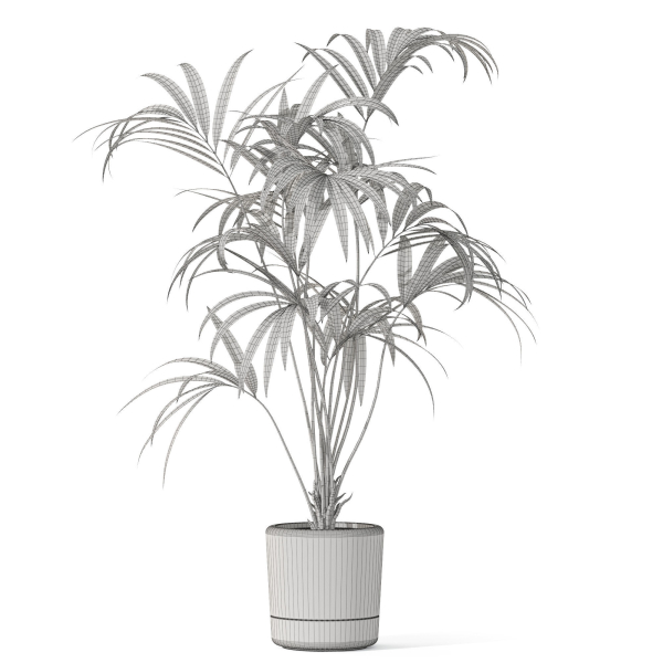 Plants collection 1090