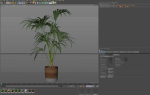 Plants collection 1090