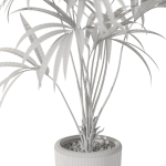 Plants collection 1090