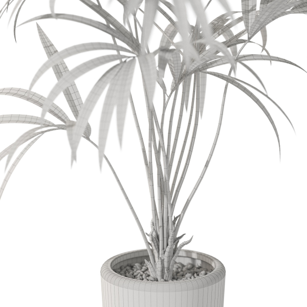 Plants collection 1090