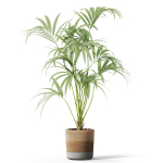 Plants collection 1090