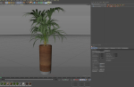Plants collection 1091